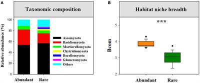 Dispersal limitation dominates the community assembly of abundant and rare fungi in dryland montane forests